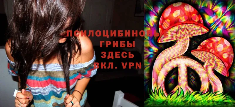 Галлюциногенные грибы Psilocybe  магазин продажи наркотиков  OMG вход  Тюмень 